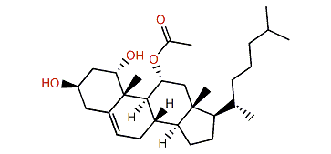 Cholest-5-ene-1alpha,3beta,11alpha-triol 11-acetate